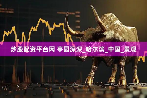 炒股配资平台网 亭园深深_哈尔滨_中国_景观
