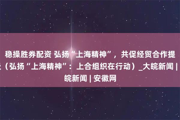 稳操胜券配资 弘扬“上海精神”，共促经贸合作提质升级（弘扬“上海精神”：上合组织在行动）_大皖新闻 | 安徽网