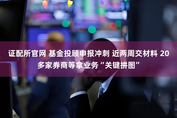 证配所官网 基金投顾申报冲刺 近两周交材料 20多家券商等拿业务“关键拼图”